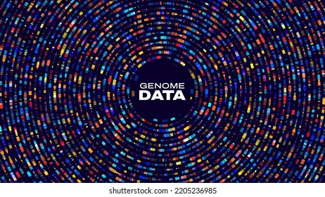 Circular Big Data Graph. DNA Test Infographic. Genome Sequence Map. Chromosome Architecture, Molecule Sequencing Chart. Genetic Science and Technology Concept. Vector Illustration Background.