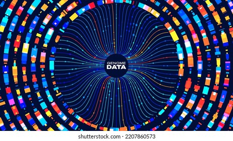 Circular Big Data Graph. DNA Test Infographic. Genome Sequence Map. Chromosome Architecture, Molecule Sequencing Chart. Genetic Science And Technology Concept. Vector Illustration Background.