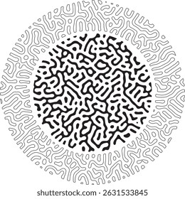 circular Black and white abstract turing pattern for frame background