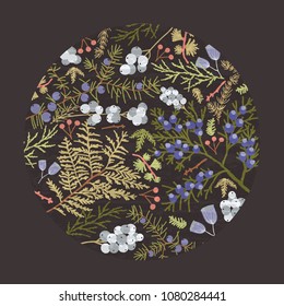 Circular botanical decorative design element, backdrop or decoration consisted of colorful forest coniferous tree branches, juniper sprigs and ferns on black background. Natural vector illustration