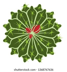 Circular cactus design with red flowers. Vector illustration.