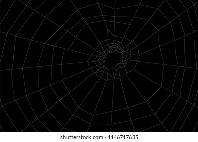 Circular cobweb illustration for design and decoration.