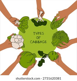 Circular composition showing diverse hands holding different cabbage varieties isolated on white. Hand-drawn organic vector in juicy green hues, for nutrition and educational content.