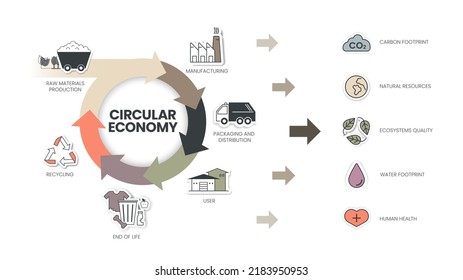 El diagrama de infografía de Economía Circular tiene 6 pasos para analizar como fabricación, envasado y distribución, usuario, fin de vida, reciclado y producción de materias primas. Concepto de ecología y medio ambiente