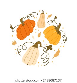 Circular emblem of pumpkins in various shapes and colors. Textured autumn ripe harvest round badge. Vector hand drawn flat kit illustration isolated on white background.