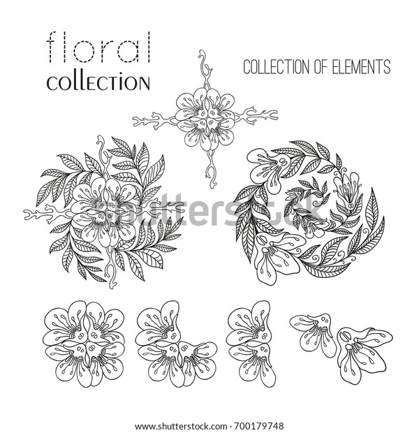 Circular Floral Ornament Set Stock Vector Royalty Free 700179748 Shutterstock 6817