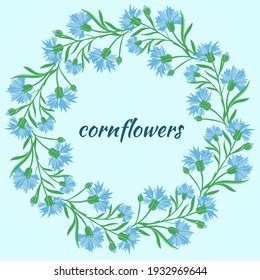 Circular frame with cornflowers. Delicate frame in a circle with wild blue flowers. Vector