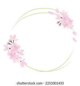 Circular frame illustration of realistic cherry blossoms.