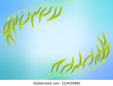 Circular frame with seaweed pattern. Giant kelp covering the surface of the water.