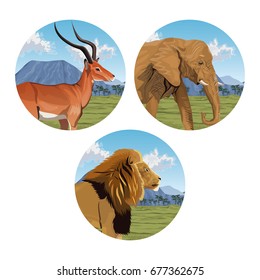 circular frame with set closeup colorful scene african landscape with wild animals