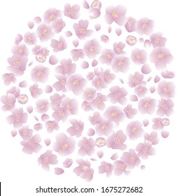 A circular frame surrounded by cherry blossoms