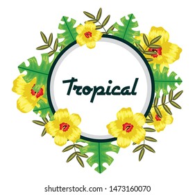 circular frame with tropical flowers and leafs