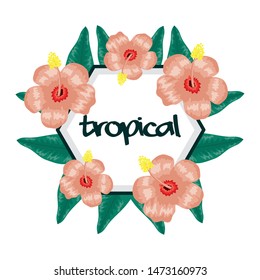 circular frame with tropical flowers and leafs