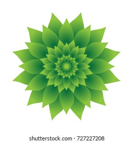 Circular Green Leaves