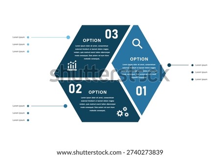Circular hexagonal business infographic with three options and icons