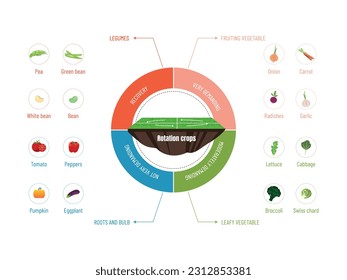 Circular Infographic: Discover the Crops in Each Crop Rotation..circular diagram with seed to crop icons on a white background. svg