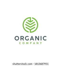 Circular Initial Letter O With Leaf For Organic Fresh Natural Food Logo Design