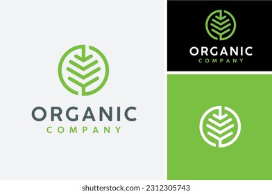 Circular Initial Letter O with Tropical Palm Leaf for Organic Fresh Natural Nutrition Food logo design