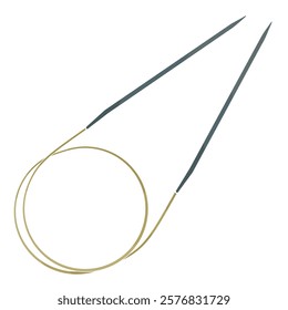 Circular Knitting Needles on white background