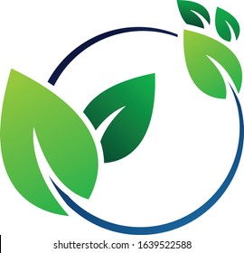 Circular leaves vector illustration art