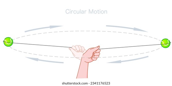 Circular motion example. When a person whirls a object (tennis ball, stone) tied by a string, the motion of the ball. Centripetal force. Physics lesson experiment. Illustration vector