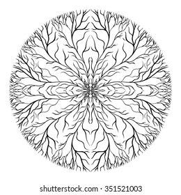 A circular ornament. Vector background.Mandala. Beautiful vintage round pattern.