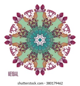 Circular pattern, ethnic, Provence herbs, herb wreath. Vector watercolor mandala. Decor for your design, lace ornament. Round pattern, oriental style