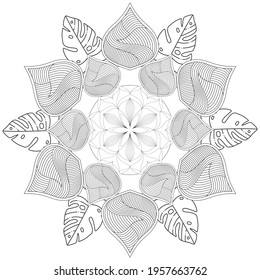 Circular Pattern Mandala Flower Rose Style Henna Mehndi Tattoo Decoration Decorative Ornament Ethnic Oriental Coloring Book Page
