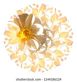 Circular pattern of white Dahlia petals, vector