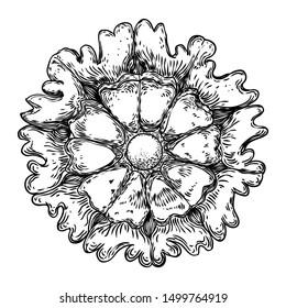 Circular round floral mandala like vintage decorative Baroque ornament elements. Drawing marble stone for fashion scarf, print, fabric design. Vector. 