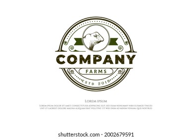 Circular Round Vintage Angus Cow Farm Livestock Cattle Logo Design Vector