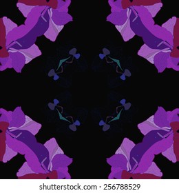 Circular seamless  pattern of floral motifs, colored gladioli on a  black  background. Hand drawn.