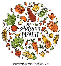 Circular set of vegetables and mushrooms for the autumn harvest. Orange and green plants in doodle sketch style. Pumpkins, mushrooms and broccoli.