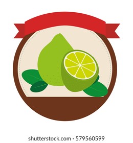 circular shape with set collection lemons fruit and label