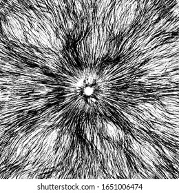 Circular starburst explosion texture. Distressed uneven grunge background. Abstract vector illustration. Overlay to create interesting effect and depth. Isolated on white background.
