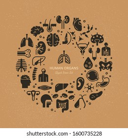 Circular template of linear vector icons of human internal organs and skeleton on a medical theme.