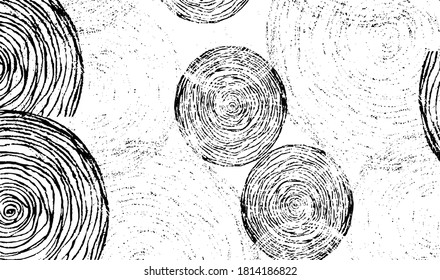 Circular texture. Distressed uneven grunge background. Abstract vector illustration. Overlay to create interesting effect and depth. Isolated on white background.EPS10.