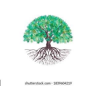 Circular Tree Roots Logo Tree Round Stock Vector (Royalty Free ...