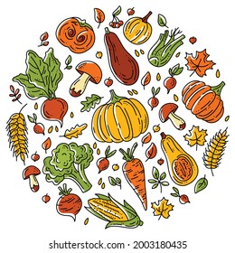 Circular vector set of vegetables and mushrooms for the autumn harvest. Orange and green plants in doodle sketch style. Pumpkins, mushrooms and corn