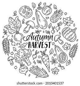 Circular vector set of vegetables and mushrooms for the autumn harvest. Linear plants in doodle sketch style. Pumpkins, mushrooms and broccoli. svg