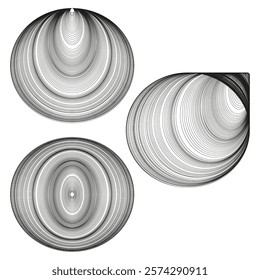 Circular wave shapes. Abstract line forms. Black and white contrast. Geometric design illustration.