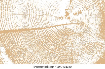 circular wood grain texture vector illustration background