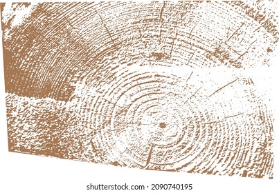 circular wood grain texture vector illustration background