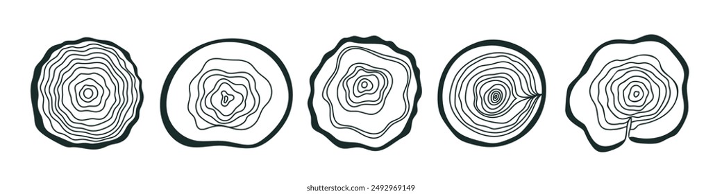 Circular wood rings. Abstract round outlines. Tree stump texture. Oak log timber. Organic slice contours. Natural topographic map. Forest wood materials. Plank split