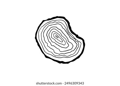 Circular wood rings. Saw cut timber. Organic texture shapes. Line ripple circle wood texture. Vector illustration
