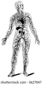 circulatory system interior flow medicine live arms healing people human education bloody health blood healthy indoor wellness heart body press bike complicated function coaching syndrome disorder sic