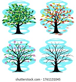 The circumstance when a tree passes through every season. The tree always shows how to adapt to each season, both summer, fall, winter and spring. This is an amazing thing.