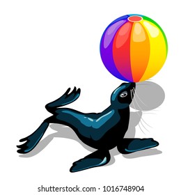 Circus animal sea lion with colorful ball isolated on white background. Vector cartoon close-up illustration.