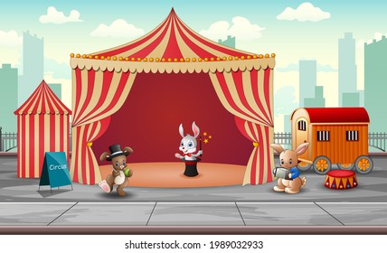 Circus animal show and acrobat performance at the arena