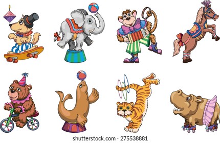 Circus. circus animals